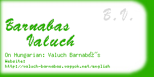 barnabas valuch business card